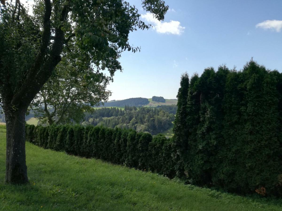 Lembach im Mühlkreis Jenny 빌라 외부 사진