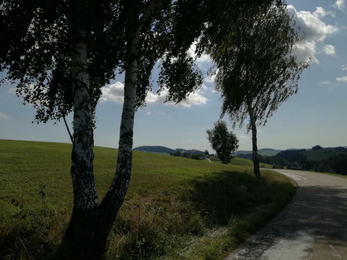 Lembach im Mühlkreis Jenny 빌라 외부 사진
