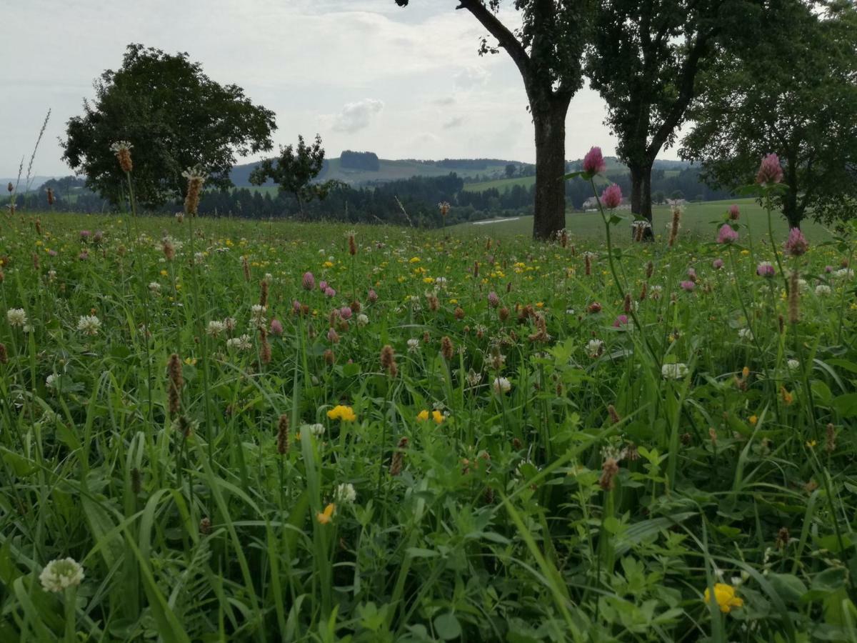 Lembach im Mühlkreis Jenny 빌라 외부 사진